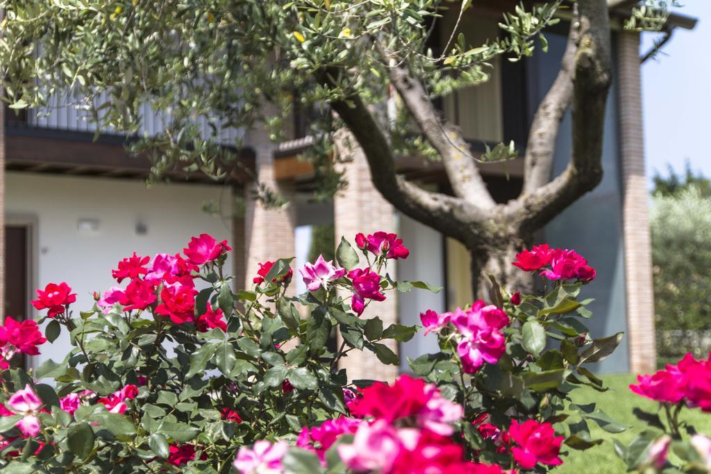 Hotel Relais Agli Olivi Lazise Ngoại thất bức ảnh